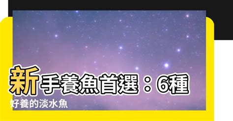 養魚虎|【新手養魚點揀好】金魚街老闆介紹 5種易養淡水觀賞魚